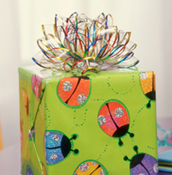 Photostylist by Herb Schnabel