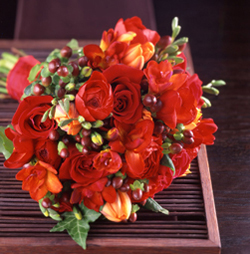 Photostyling by Photostylist Herb Schnabel