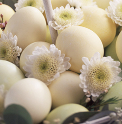 Photostylist Herb Schnabel - Priest Illustration